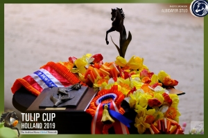 Tulip Cup - Holland - 2019